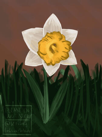 Flower in the dark